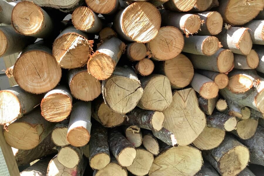 Her Proje İçin Doğru Kereste Nasıl Seçilir? ADK Kereste Rehberi